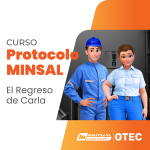 minsal Comprender Procesos de Reanimación Cardiopulmonar en Adultos, Niños y Lactantes Respetando Protocolos de Maniobras y Uso Del Desfibrilador Externo Automático
