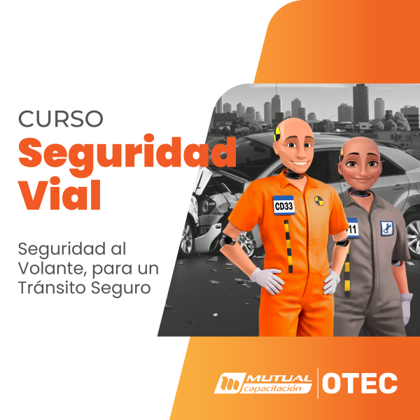 Seguridad Vial