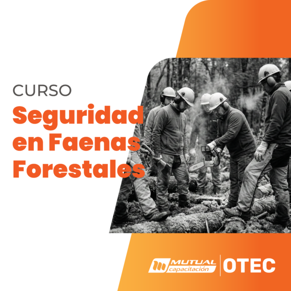 forestal Técnicas Básicas de Seguridad en Actividades Forestales
