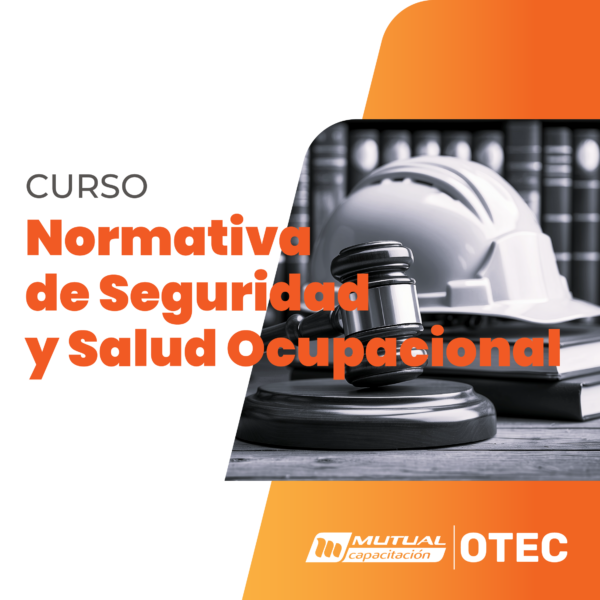 seguridad_legal Aplicación de Normativa Legal en Seguridad y Salud Ocupacional en Prevención de Riesgos