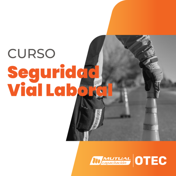 seguridad_vial_2 Aplicación de Técnicas de Gestión de la Seguridad Vial Laboral