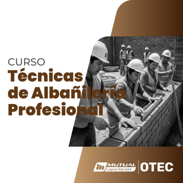 albanileria Técnicas de Confección de Muros de Albañilería