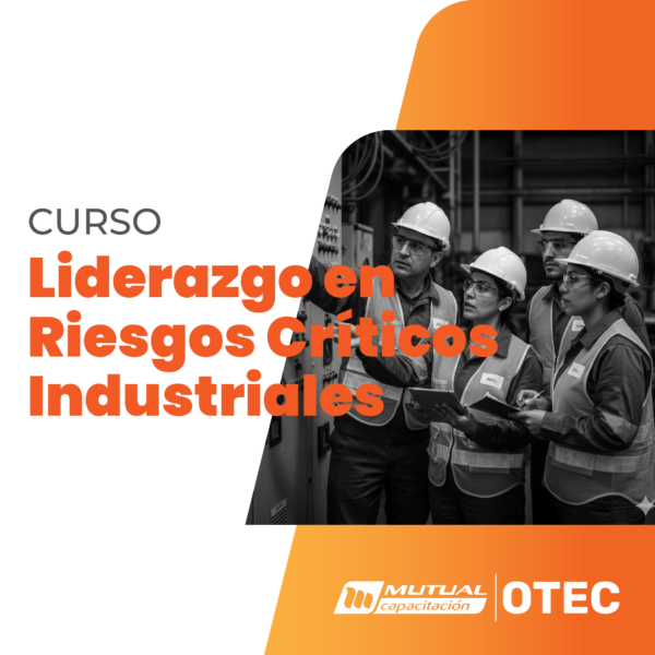 Aplicación de Herramientas de Liderazgo en el Control de Riesgos Críticos en Plantas Industriales